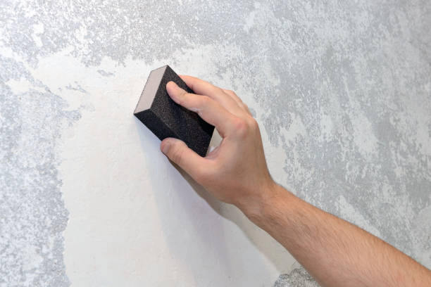 Best Real Estate Mold Inspection  in Greenwood, SC