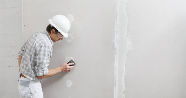 Best Basement Mold Removal  in Greenwood, SC