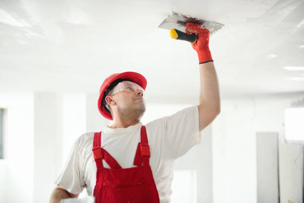 Dehumidification Services in Greenwood, SC