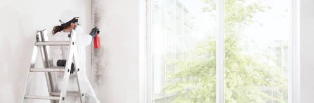Best Mold Prevention Services  in Greenwood, SC